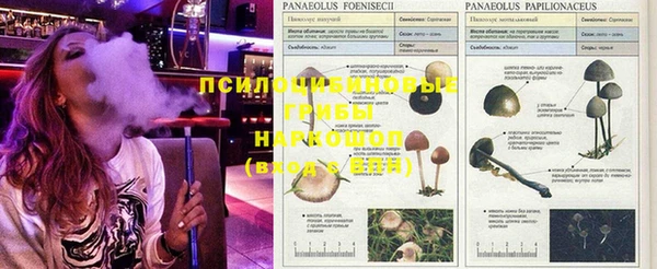 прущий лед Армянск
