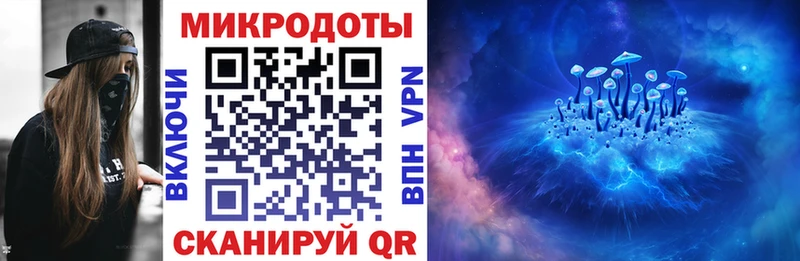 что такое   Новохопёрск  Псилоцибиновые грибы мухоморы 