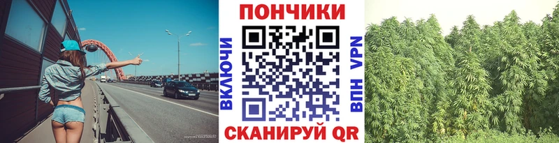 где можно купить наркотик  Новохопёрск  Бошки марихуана AK-47 